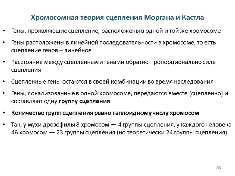 Хромосомная теория сцепления Моргана и Кастла Гены, проявляющие сцепление, расположены в одной и той